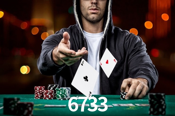6733