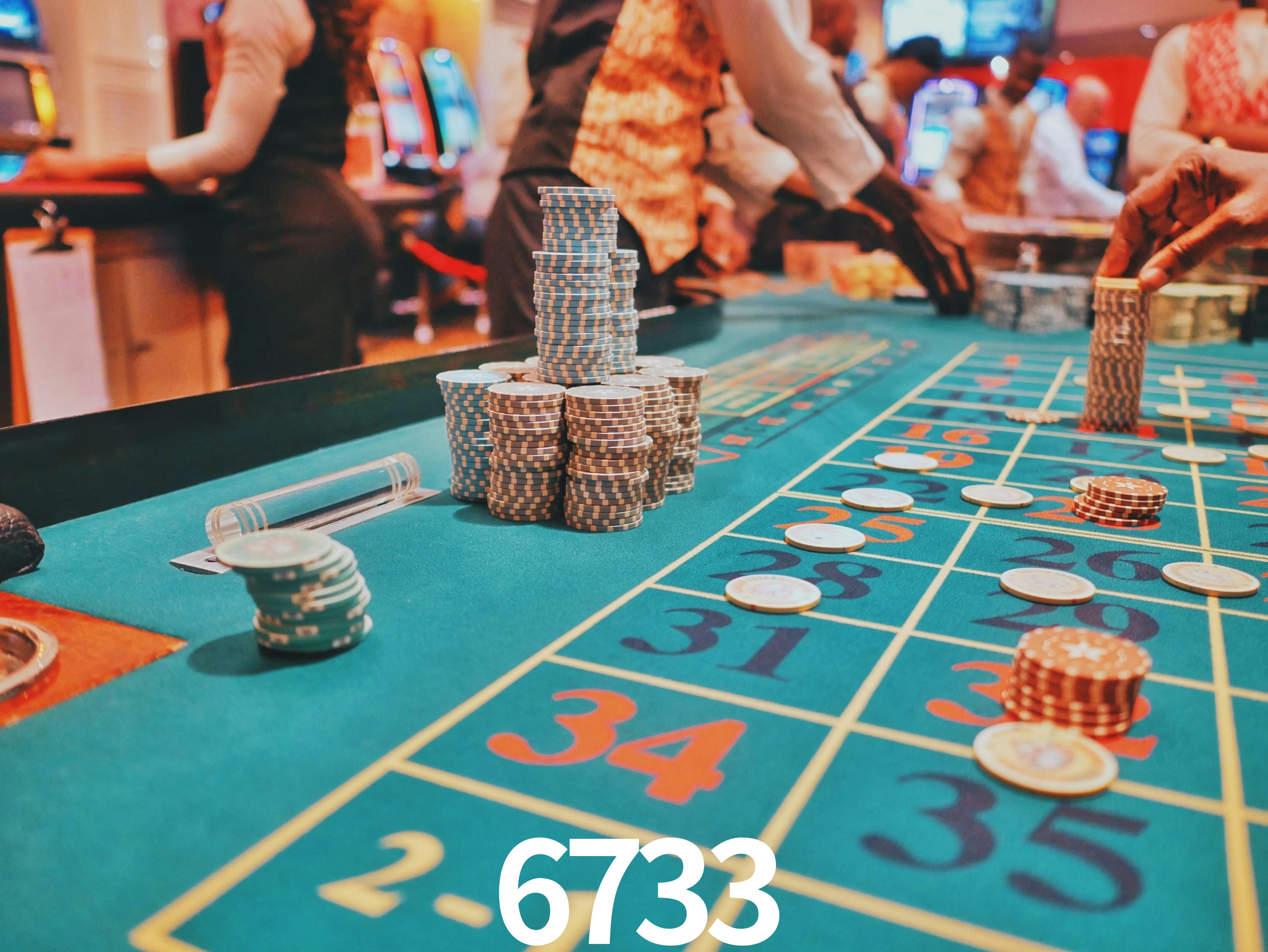 Casino VIP 6733
